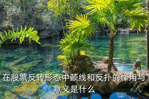 股票反撲是什么意思，在股票反轉形態(tài)中頸線和反撲的作用與意義是什么