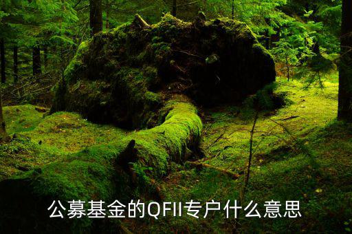 公募專戶是什么意思，什么是基金專戶