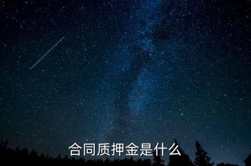 質(zhì)押金是什么，期貨中的質(zhì)押金是什么意思