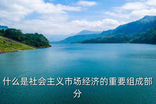 什么是社群經(jīng)濟(jì)，什么是社會(huì)主義市場(chǎng)經(jīng)濟(jì)