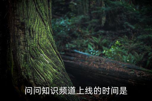 愛(ài)網(wǎng)貸平臺(tái)什么時(shí)候上線，問(wèn)問(wèn)知識(shí)頻道上線的時(shí)間是