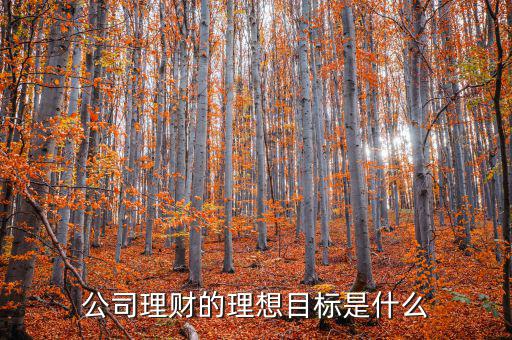 理財目標是什么，公司理財?shù)睦硐肽繕耸鞘裁?/></a></span><span id=