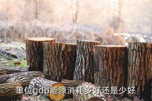 單位GDP越高說明什么，GDP代表著什么