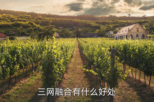 南寧廣電三網(wǎng)融合有什么用，三網(wǎng)融合有什么好處