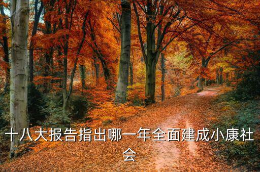 到2020年全面小康什么時候提出的，我國基本小康實現(xiàn)的時間
