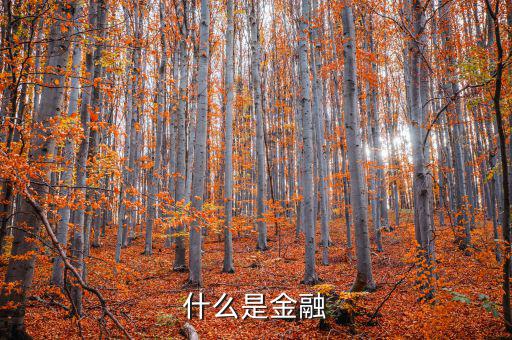 金融是什么，什么是金融