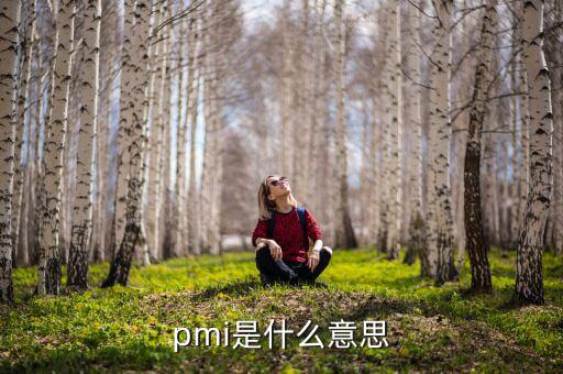 ism非制造業(yè)pmi是什么，pmi是什么意思