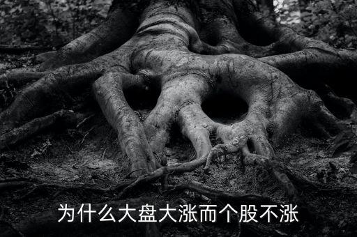板塊都漲我的個(gè)股不長(zhǎng)什么原因，為什么大盤大漲而個(gè)股不漲