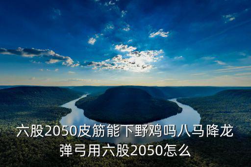 2050四股能下什么貨，2050四股到底配多大的鋼O合適