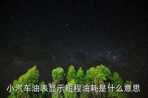 油耗顯示是指什么，請教專業(yè)人士瞬時油耗顯示是什么意思