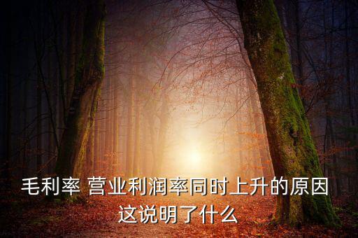 毛利率增長(zhǎng)說(shuō)明什么，增值稅毛利率的高低說(shuō)明什么