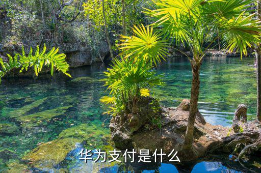 華銀支付是什么，華為支付是什么
