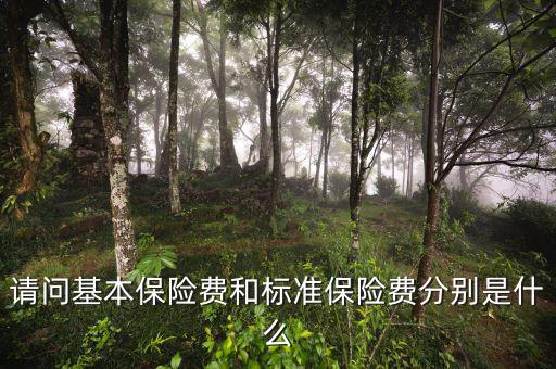 標(biāo)準(zhǔn)保費(fèi)什么意思，請(qǐng)問(wèn)基本保險(xiǎn)費(fèi)和標(biāo)準(zhǔn)保險(xiǎn)費(fèi)分別是什么
