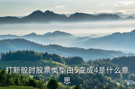 股票類型4是什么意思，打新股時股票類型由5變成4是什么意思