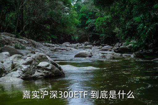 深證etf是什么，ETF 是什么意思