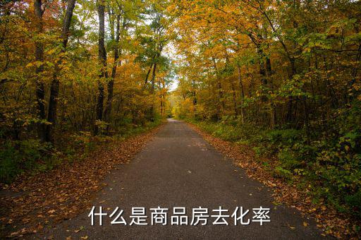 什么是新開樓盤去化率，房產(chǎn)去化率是什么