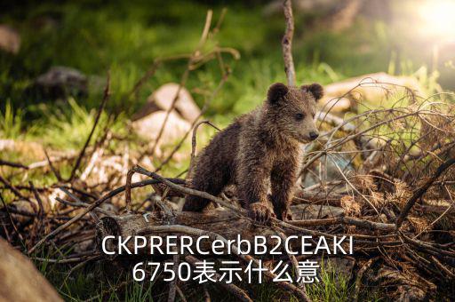 分類調控是什么意思，CKPRERCerbB2CEAKI6750表示什么意