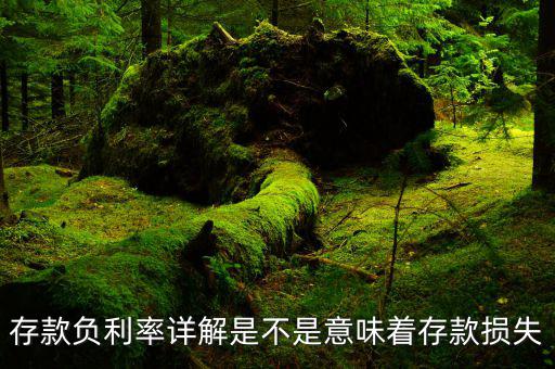 負(fù)利率也沒什么可怕，負(fù)利率是什么意思會有什么影響