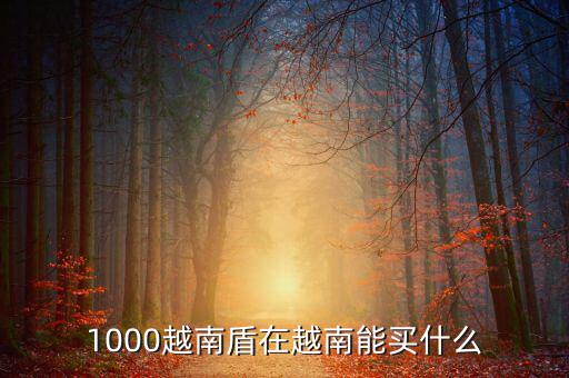 1越南盾能買什么，1盾越南幣能買什么