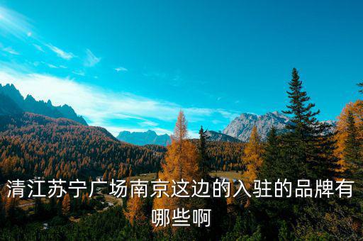 蘇寧云店是什么，蘇寧云鉆是激活甚么意思