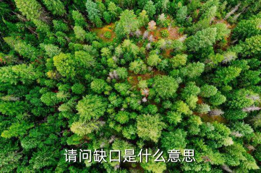什么是失業(yè)缺口，什么是缺口什么是補上缺口請解答一下
