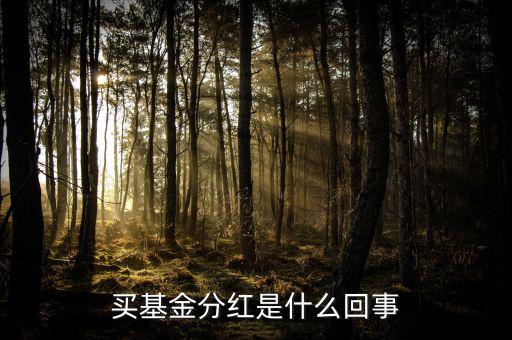 基金為什么分紅，買基金分紅是什么回事