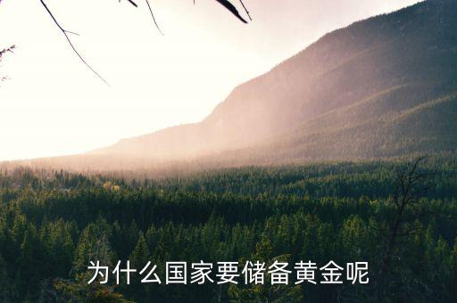黃金為什么是儲(chǔ)備，國家為什么要儲(chǔ)備黃金不儲(chǔ)備鉑金鈀金這些也值錢啊為什么只