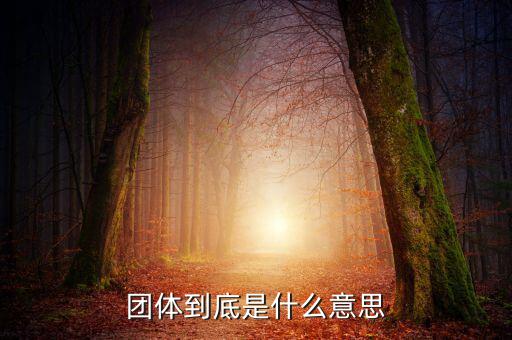 游說團體是什么，什么是團體