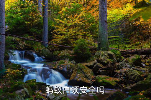 螞蟻白領是什么，螞蟻白領安全嗎