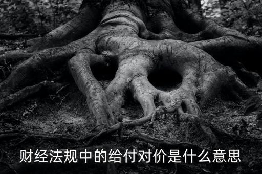 支付對(duì)價(jià)是什么意思，財(cái)經(jīng)法規(guī)中的給付對(duì)價(jià)是什么意思