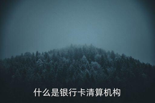 同一卡組織清算機構指什么，銀行卡清算機構銀行支付機構到底有什么區(qū)
