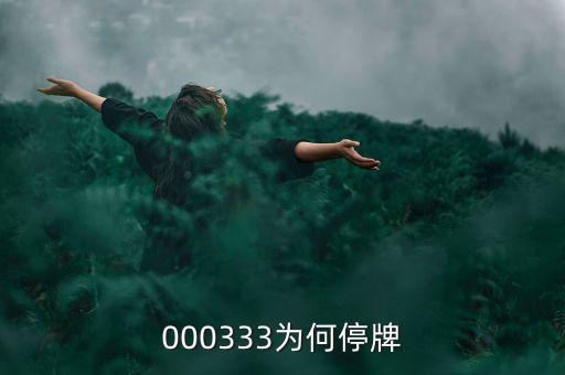 000333為什么停盤，000333為何停牌