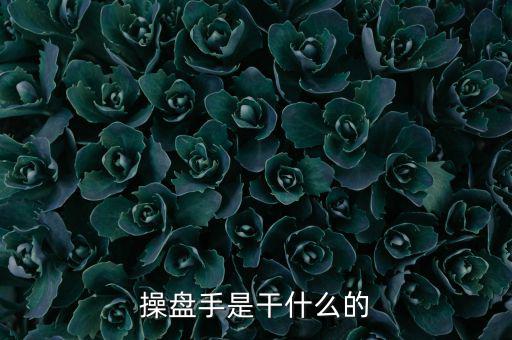 股票操盤手做什么，操盤手是干什么的