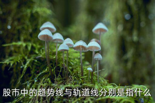 什么是股票軌道線，股票 軌道是什么