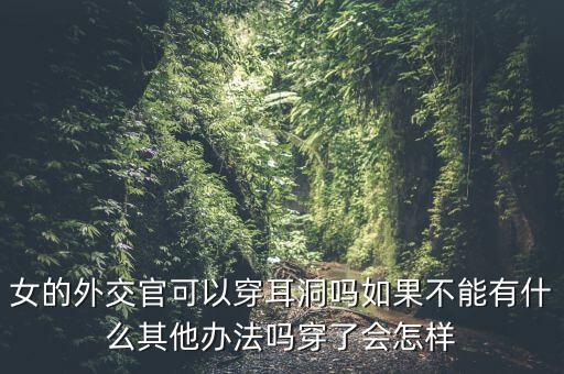 中國女領(lǐng)導(dǎo)人外交應(yīng)該穿什么走出去，外交禮儀中必須穿寄鞋帶的皮鞋么