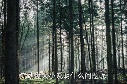 流通盤(pán)大小是什么意思，流通盤(pán)大小作用等