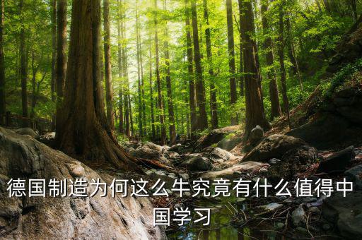 德國(guó)制造學(xué)什么，請(qǐng)問(wèn)知情的盆友們?nèi)サ聡?guó)留學(xué)材料加工類(lèi)鑄造焊接模具