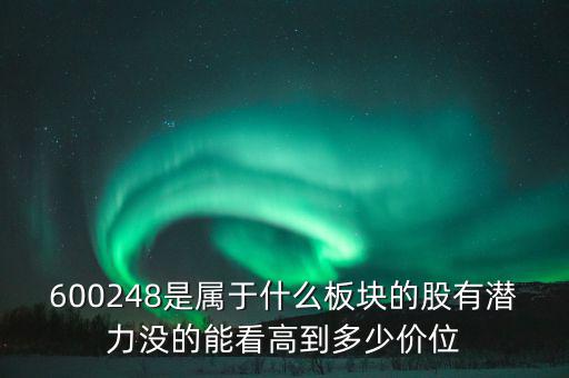 川儀股份是什么板塊，600248是屬于什么板塊的股有潛力沒的能看高到多少價位