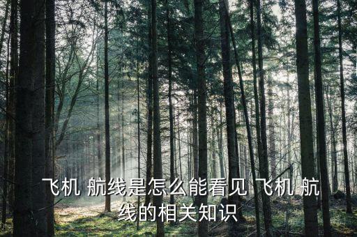 飛機(jī) 航線是怎么能看見(jiàn) 飛機(jī) 航線的相關(guān)知識(shí)