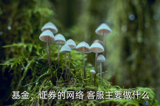  基金、證券的網(wǎng)絡(luò) 客服主要做什么