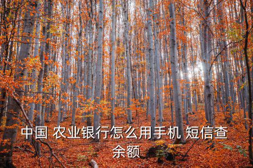 農(nóng)業(yè)銀行怎么發(fā)短信查余額,中國(guó)農(nóng)業(yè)銀行網(wǎng)銀查詢(xún)余額