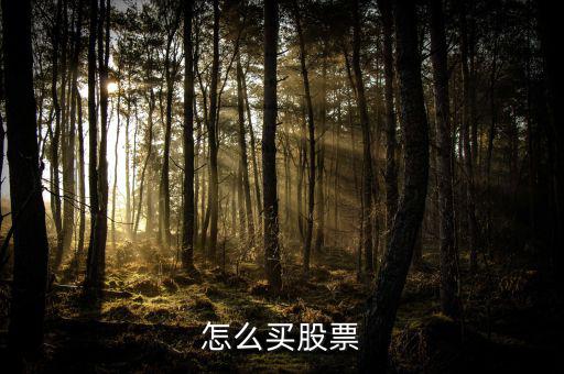 怎么買(mǎi)股票