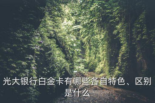 光大銀行白金卡有哪些各自特色、區(qū)別是什么