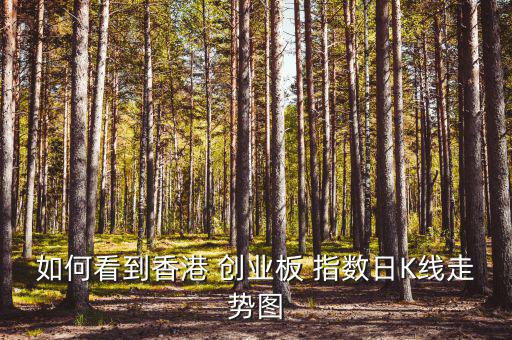 創(chuàng)業(yè)板指數怎么查看,實時指數即時報道