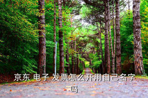 京東的電子發(fā)票怎么看,網上下載電子發(fā)票訂單出現問題需要解決