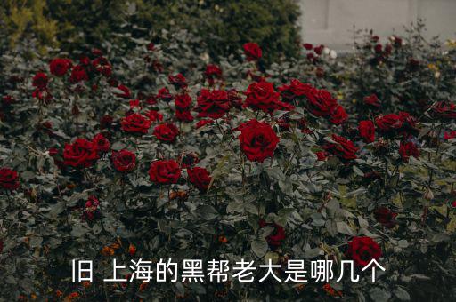 上?；バ沤鹑谠趺礃?上海五國會(huì)議機(jī)制前身是五國集團(tuán)主席