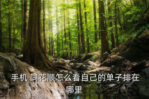 手機(jī)同花順怎么看壓?jiǎn)?同花順手機(jī)版下載更多用戶喜愛