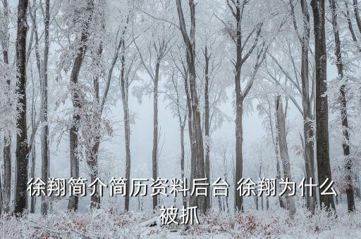 徐翔是怎么回事,徐翔、王偉、犯受賄罪被判入獄五年半