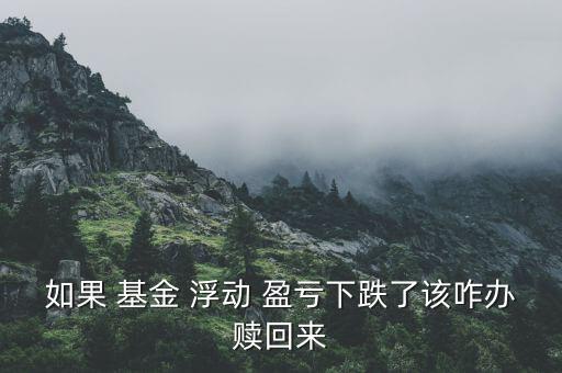 基金浮動(dòng)盈虧怎么提取,浮動(dòng)盈虧是正數(shù)，表示你賺了