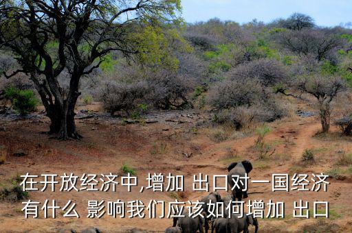 在開放經(jīng)濟中,增加 出口對一國經(jīng)濟有什么 影響我們應(yīng)該如何增加 出口